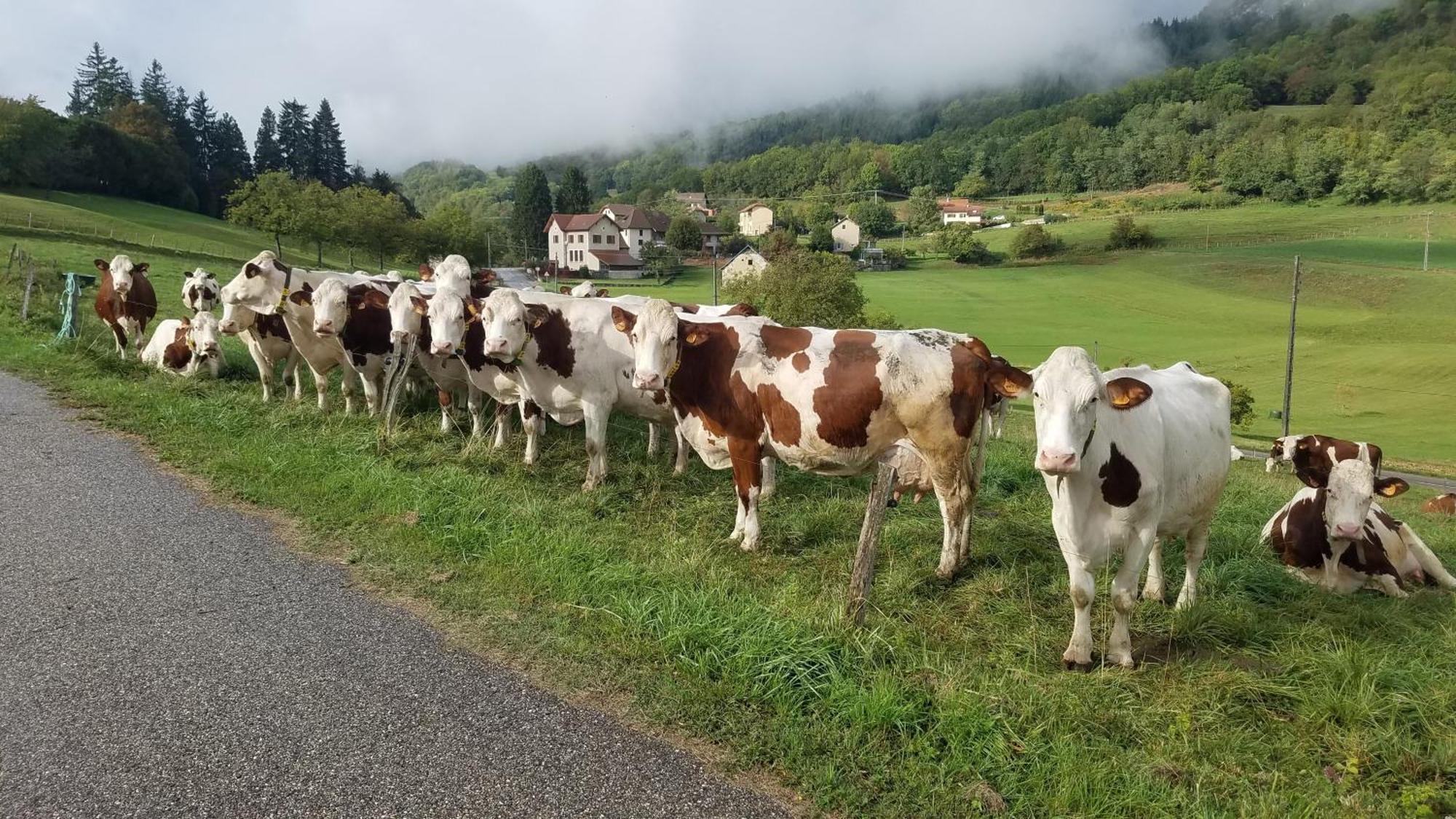 Un Pied Devant L'Autre Sainte-Marie-D'Alvey Eksteriør billede