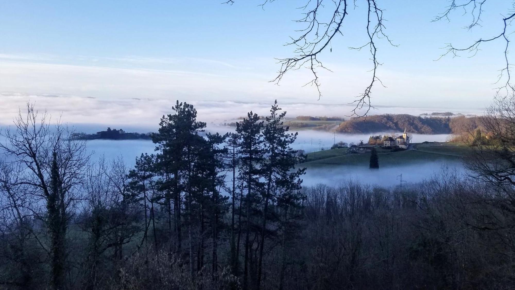 Un Pied Devant L'Autre Sainte-Marie-D'Alvey Eksteriør billede